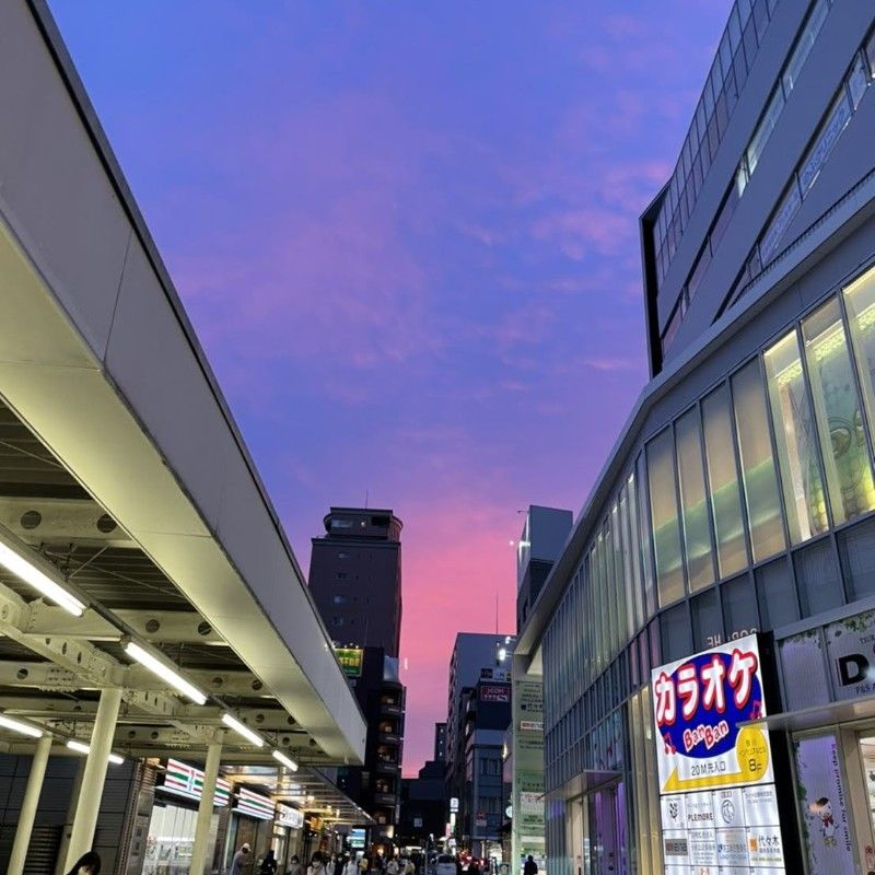 吉田 陽翔