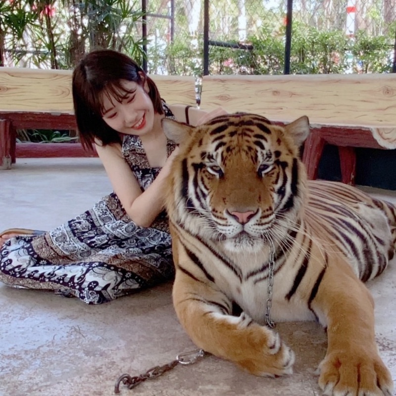 mai