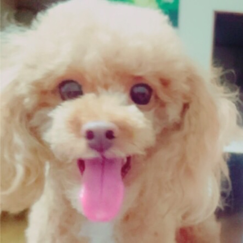 小西　洋子
