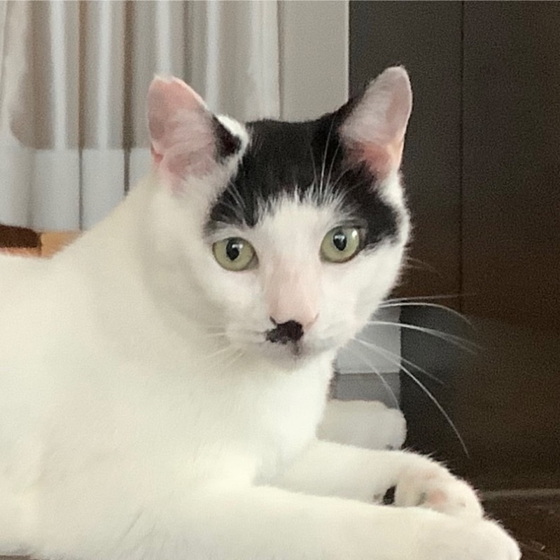 中村弥生