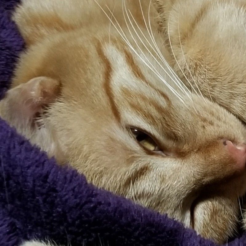 あーちゃん