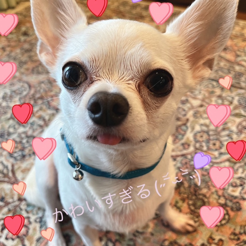 ゆう