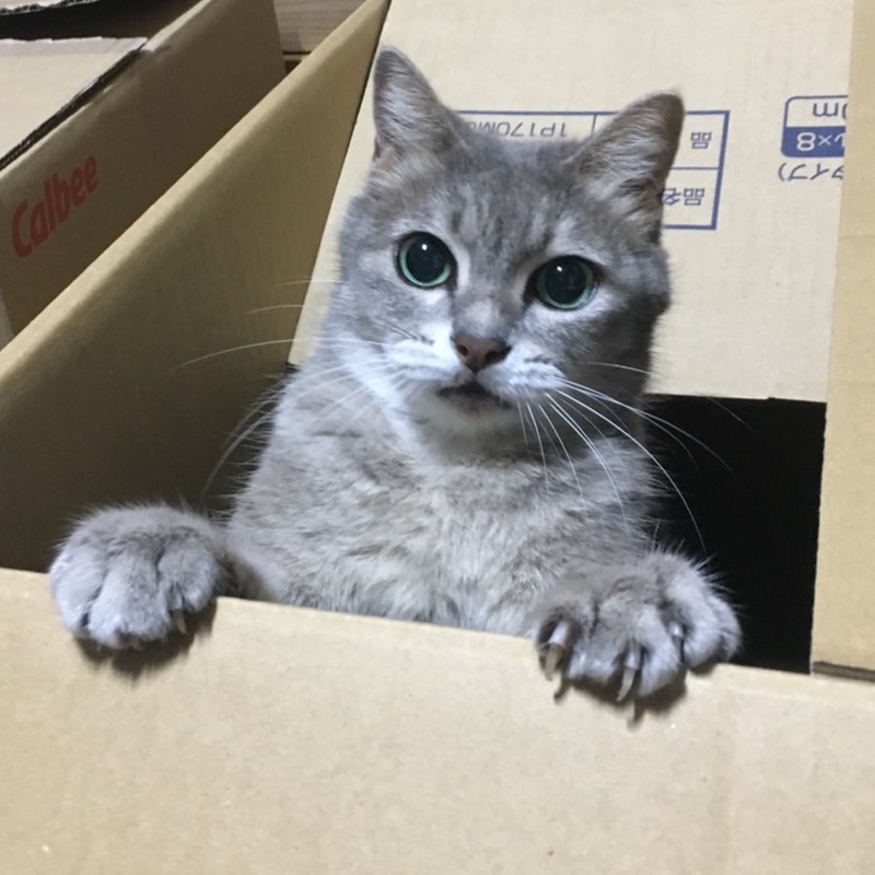 m.n