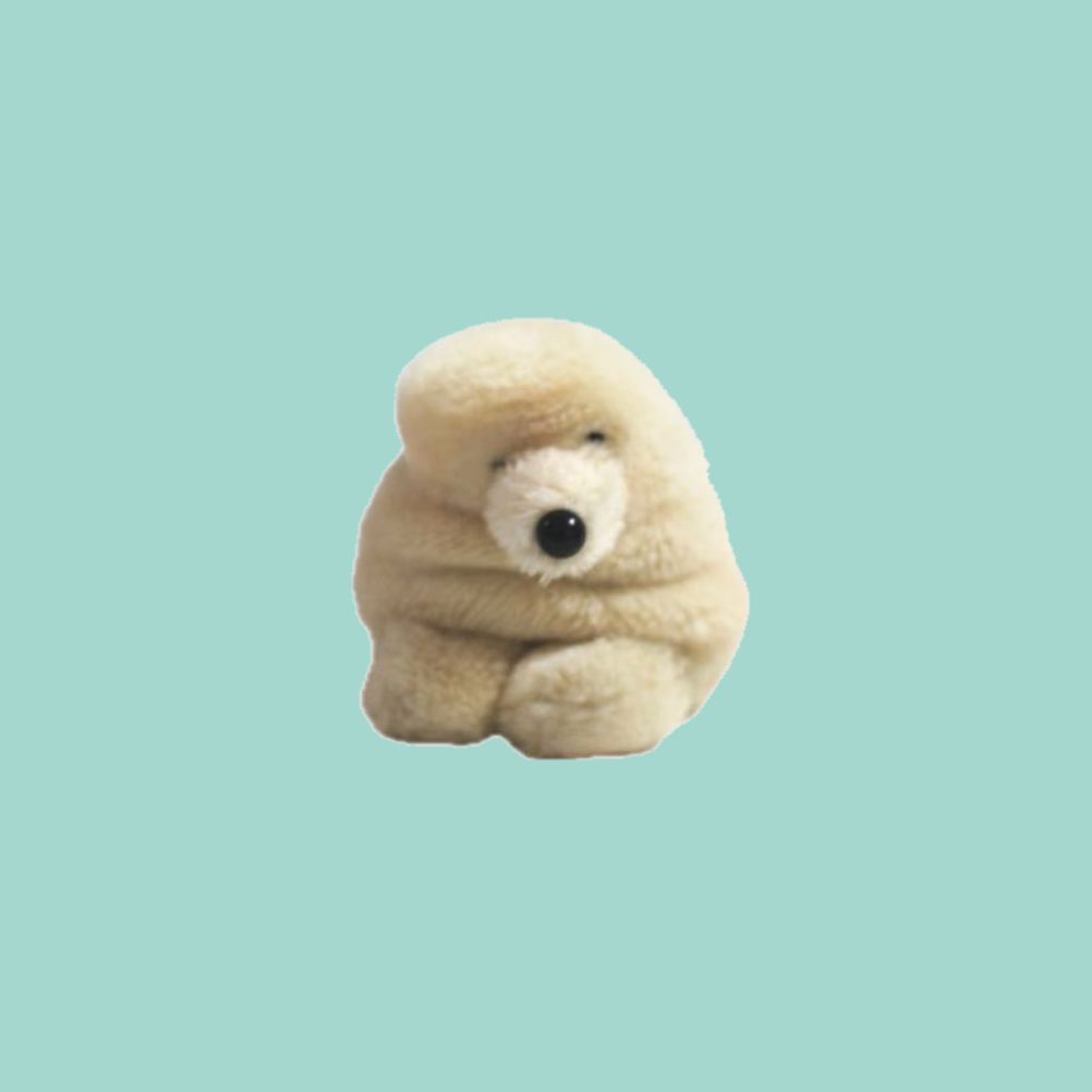 🐻‍❄️