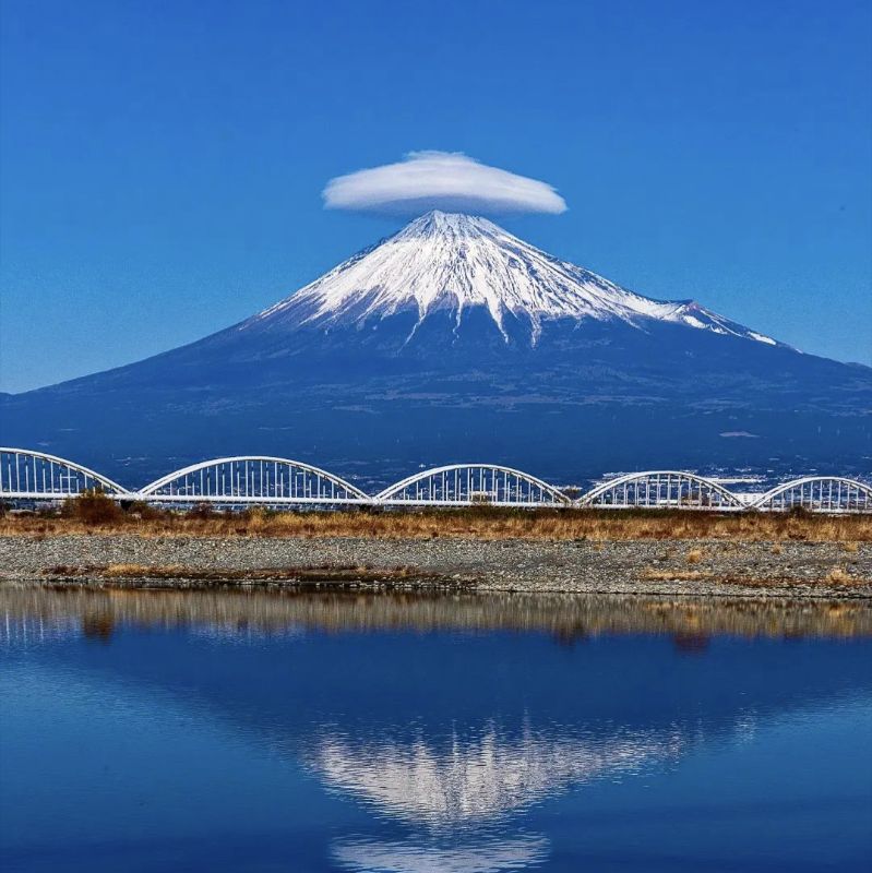 安井昌己