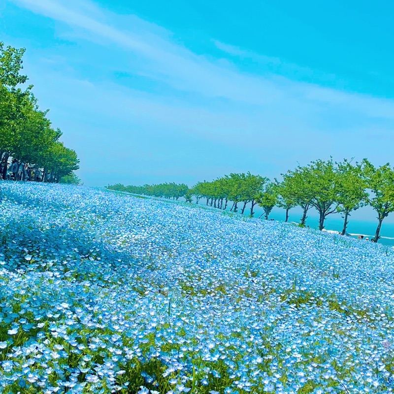 野口　和