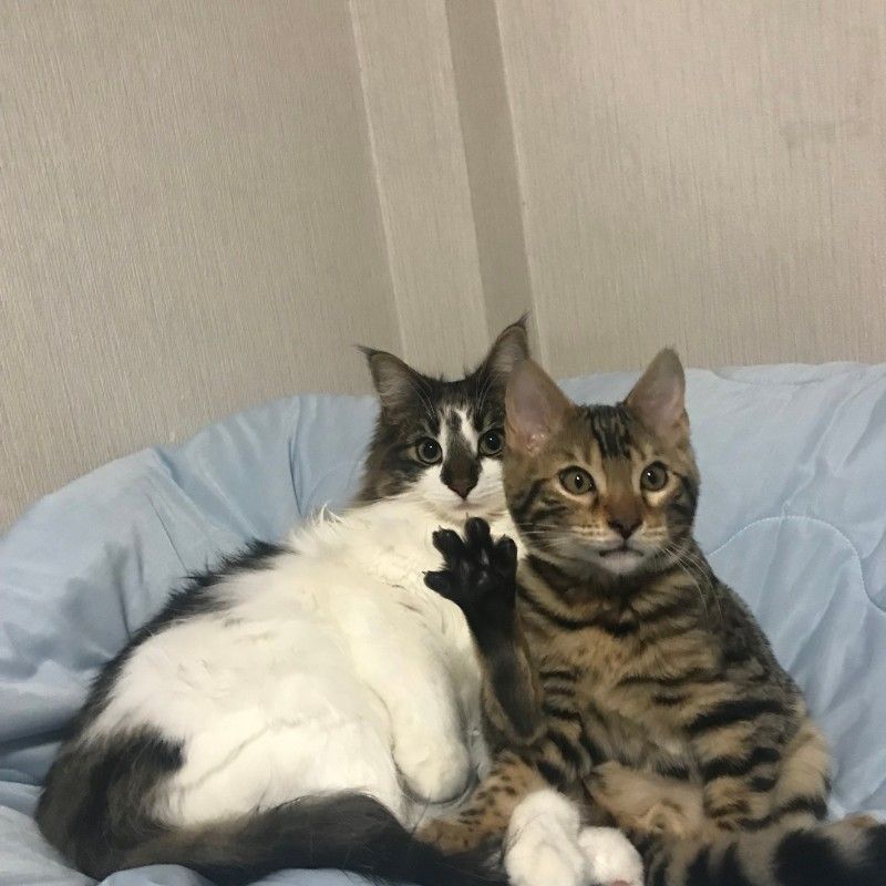 木川敬一