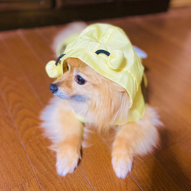 な