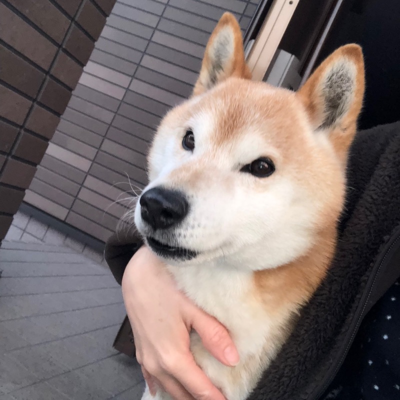 mika