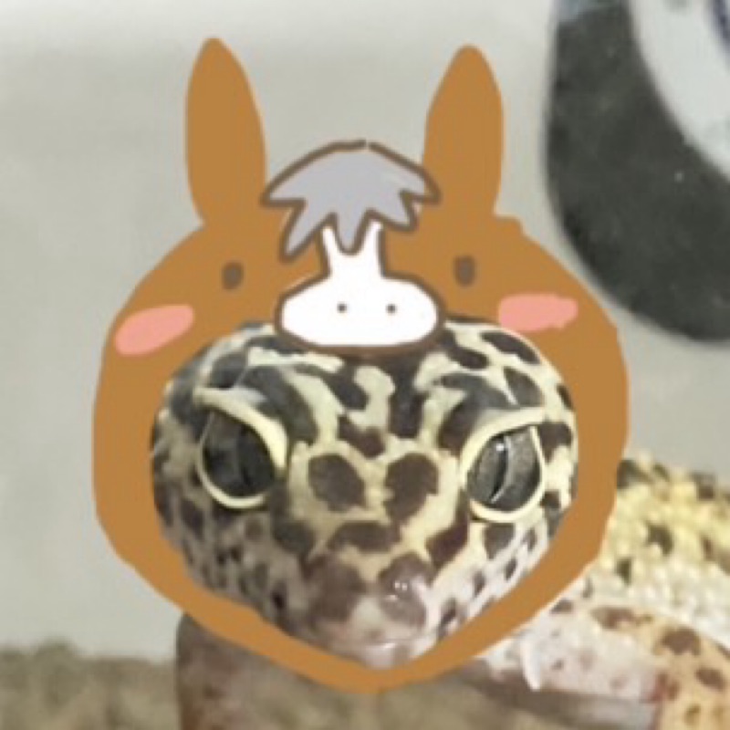 y.h