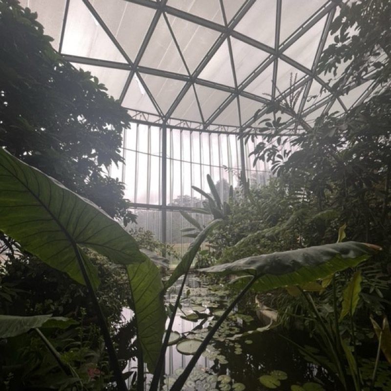 吉田　陽