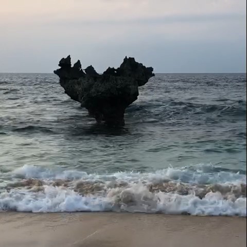 あみ