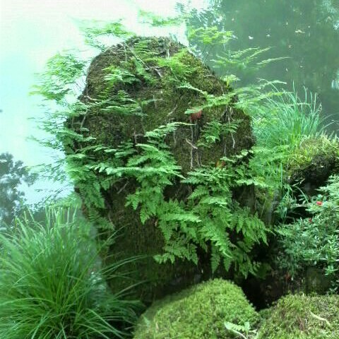 細野実夫