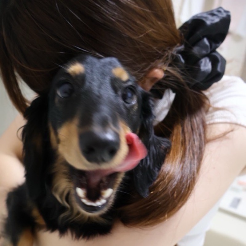 あや