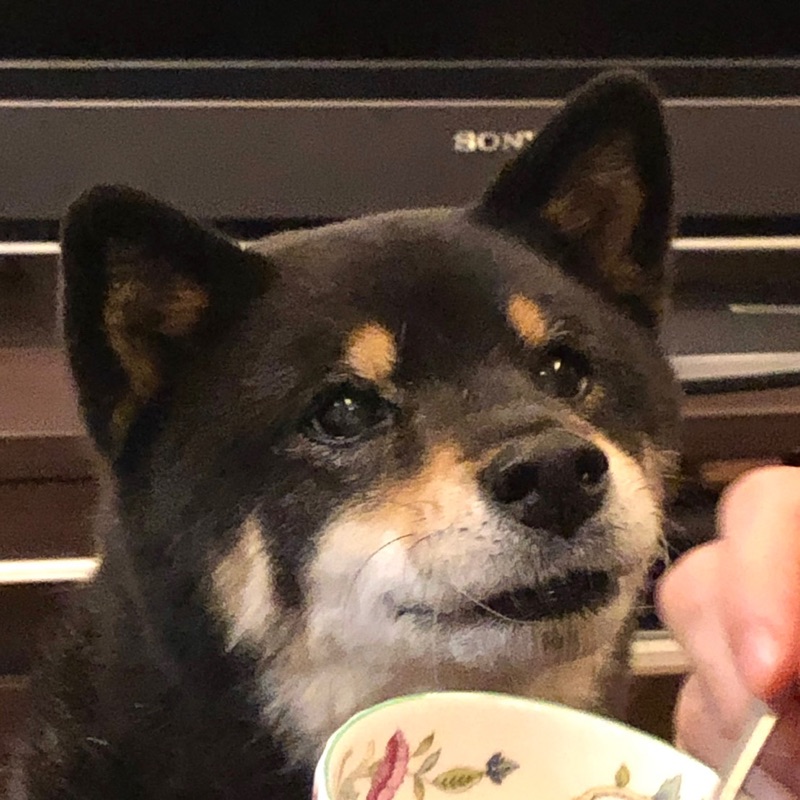 メグ