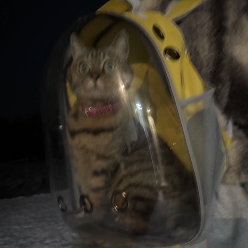 はね