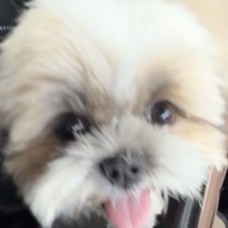 むらた