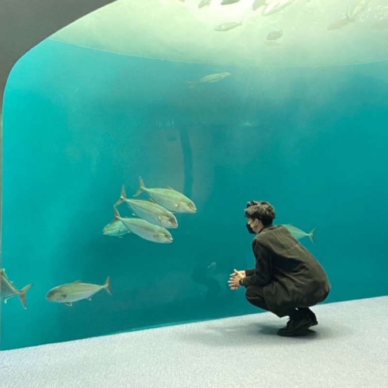 がや