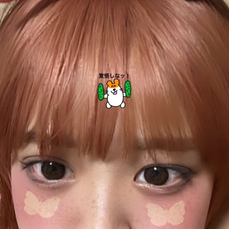 ゆきぱい