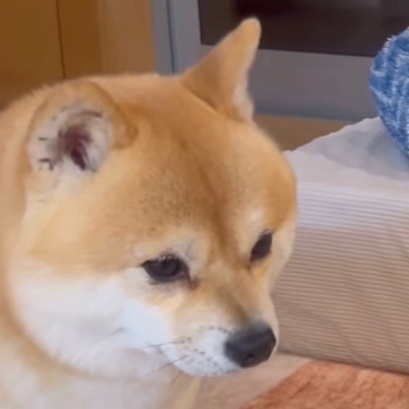 吉永明人