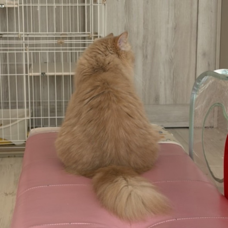 ユウキ