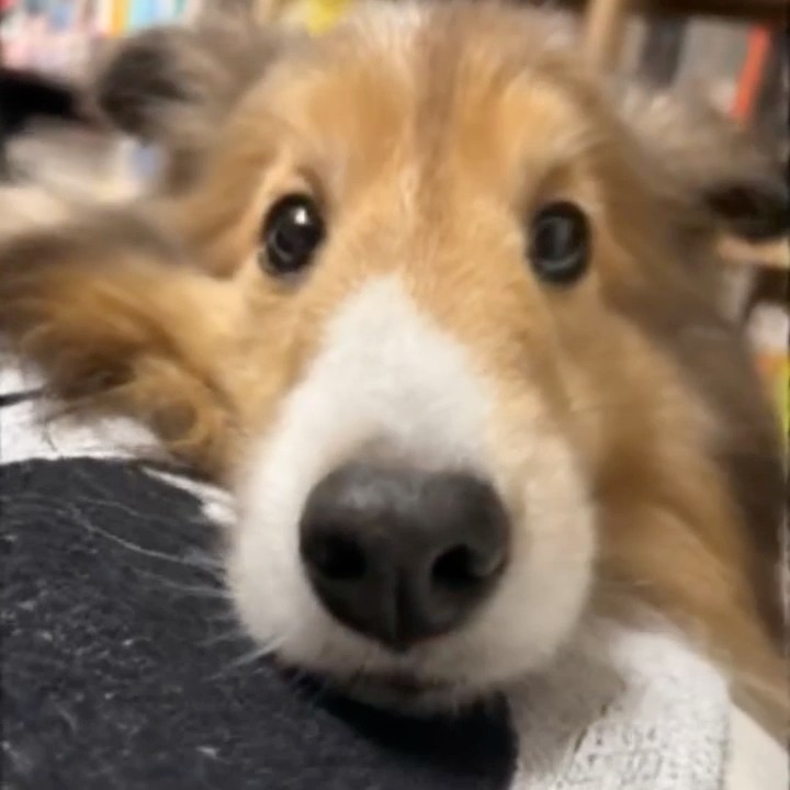 是澤佳凜