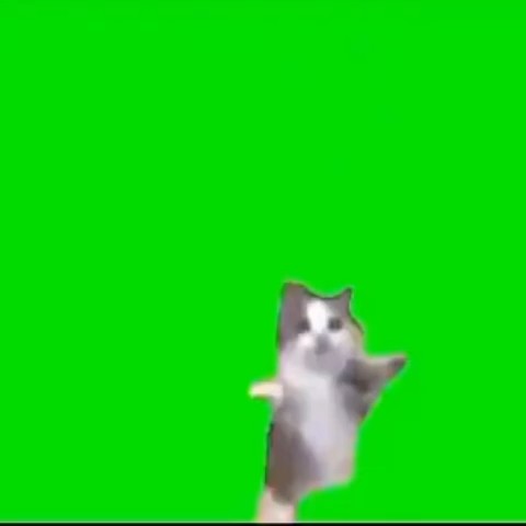a m i