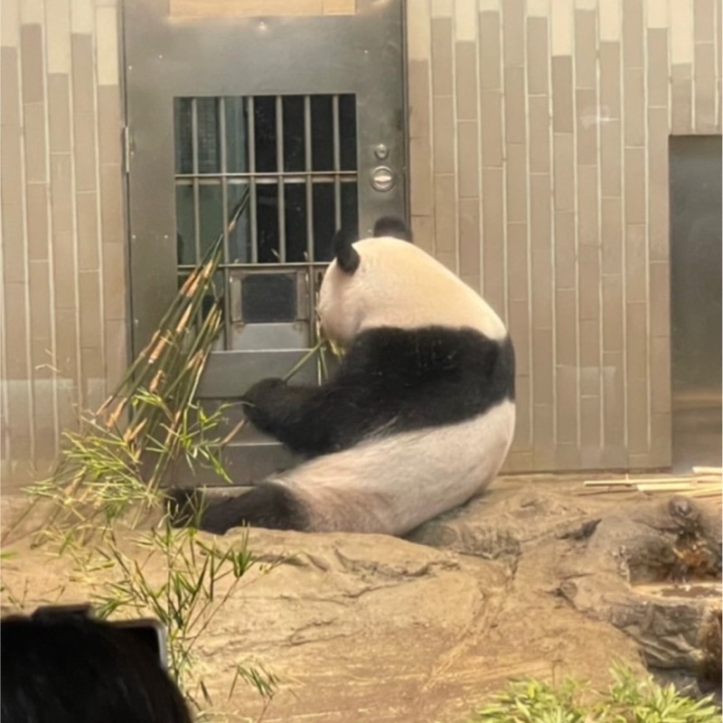 ちば