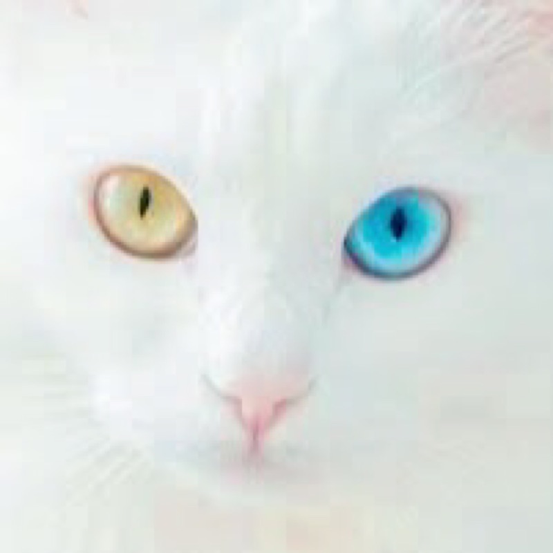 さおり