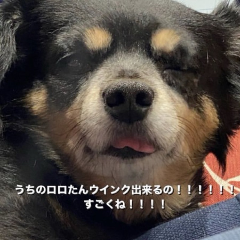 齊藤順子