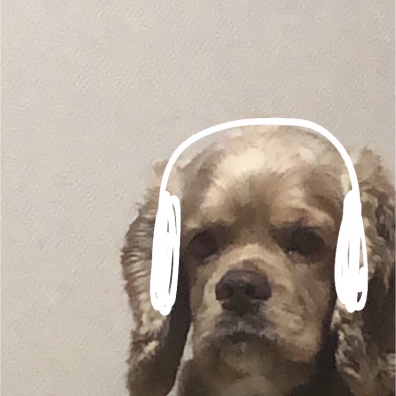 清水綾乃