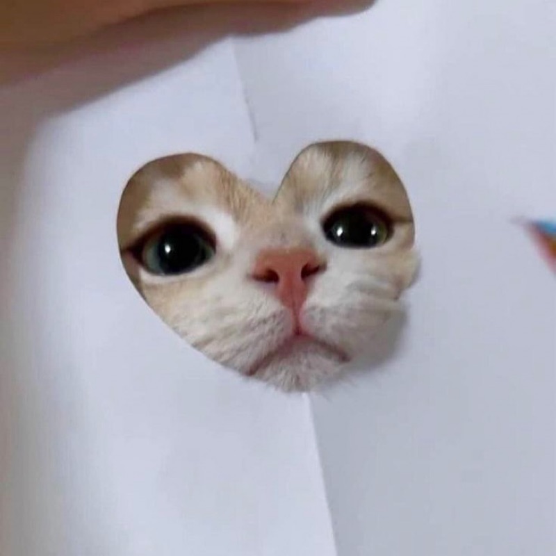 ち
