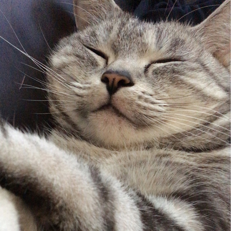 まな