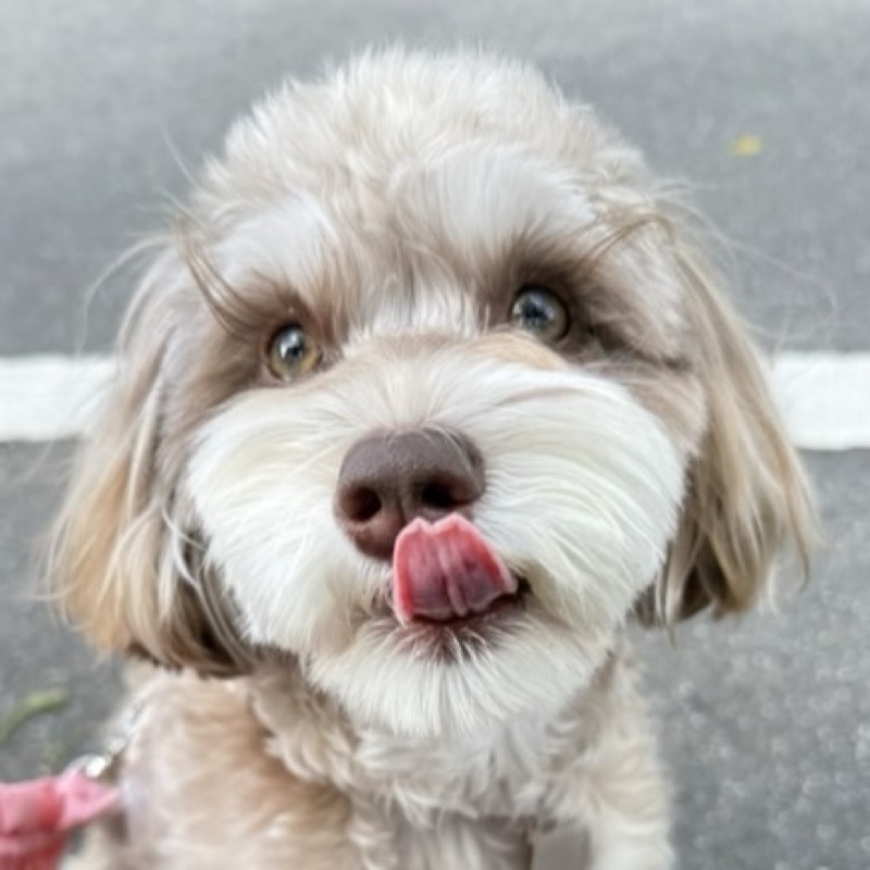 えりぴょんこ