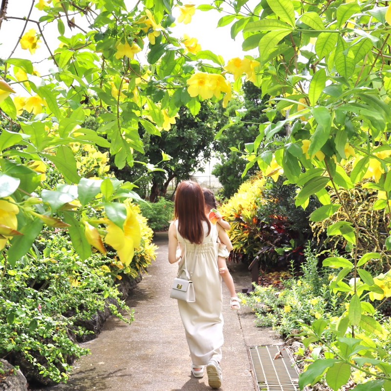 長谷部 朝香