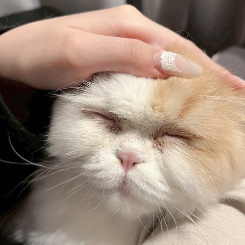 あり