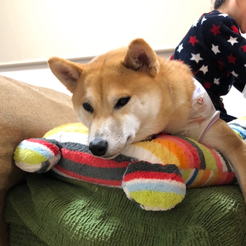 Jun
