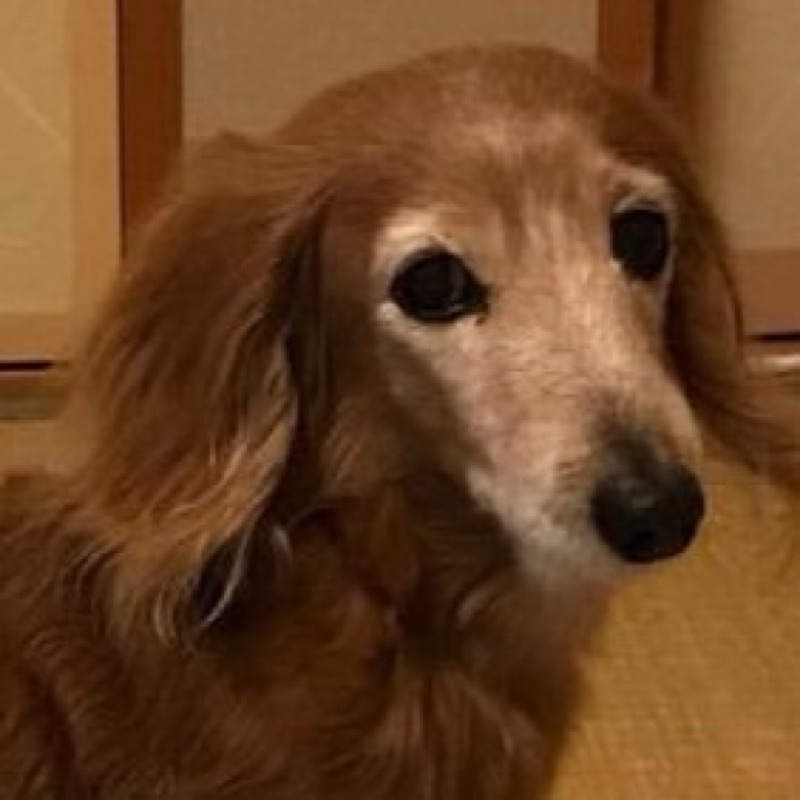 goromi