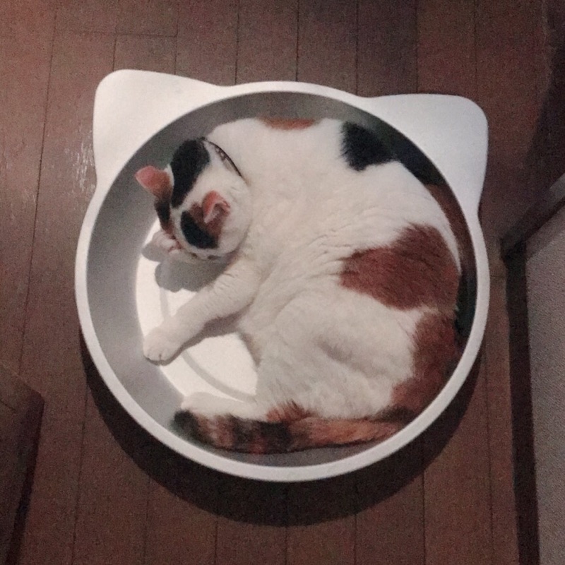 星