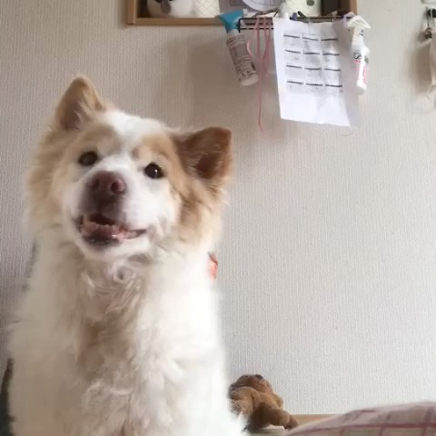 ゆな