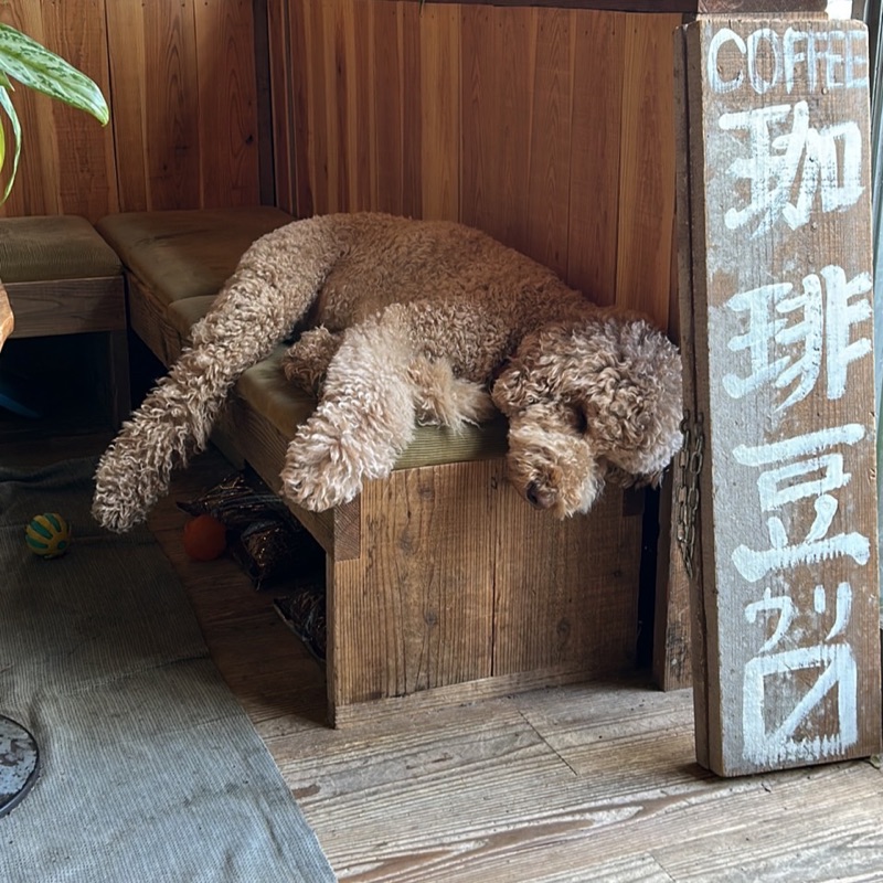あかり
