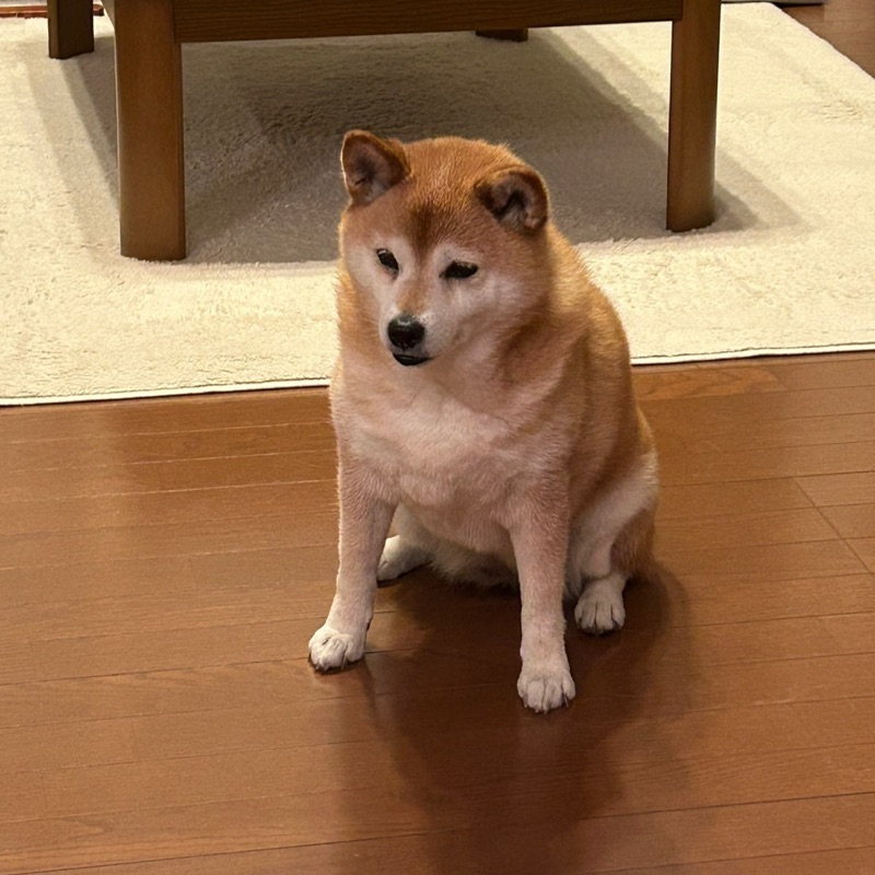 竹内祐翔