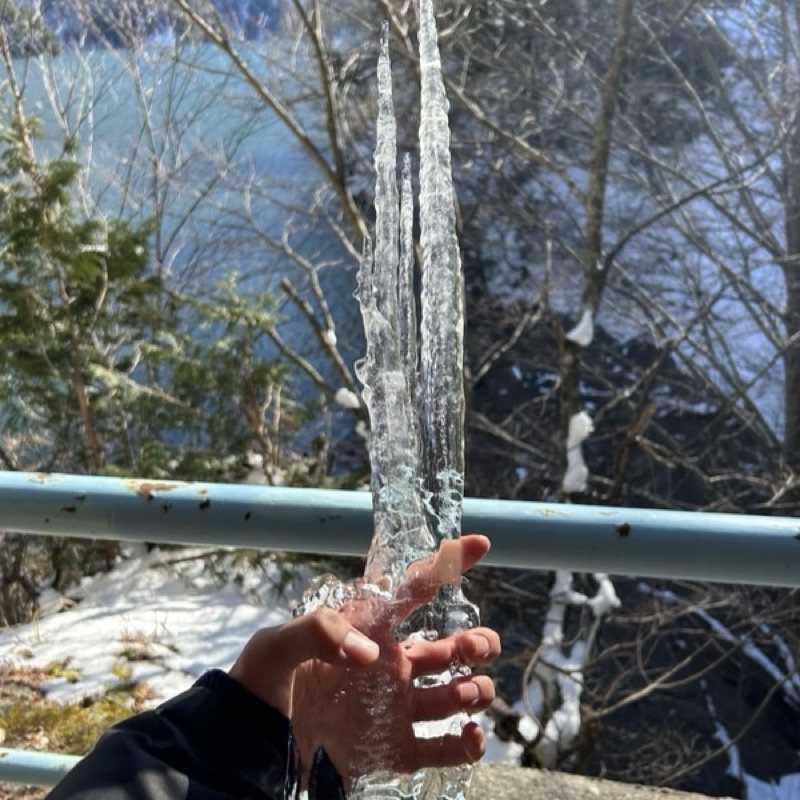園部智彬