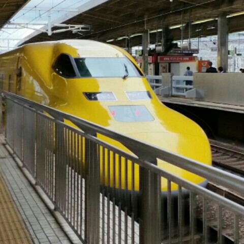 安井　まゆり