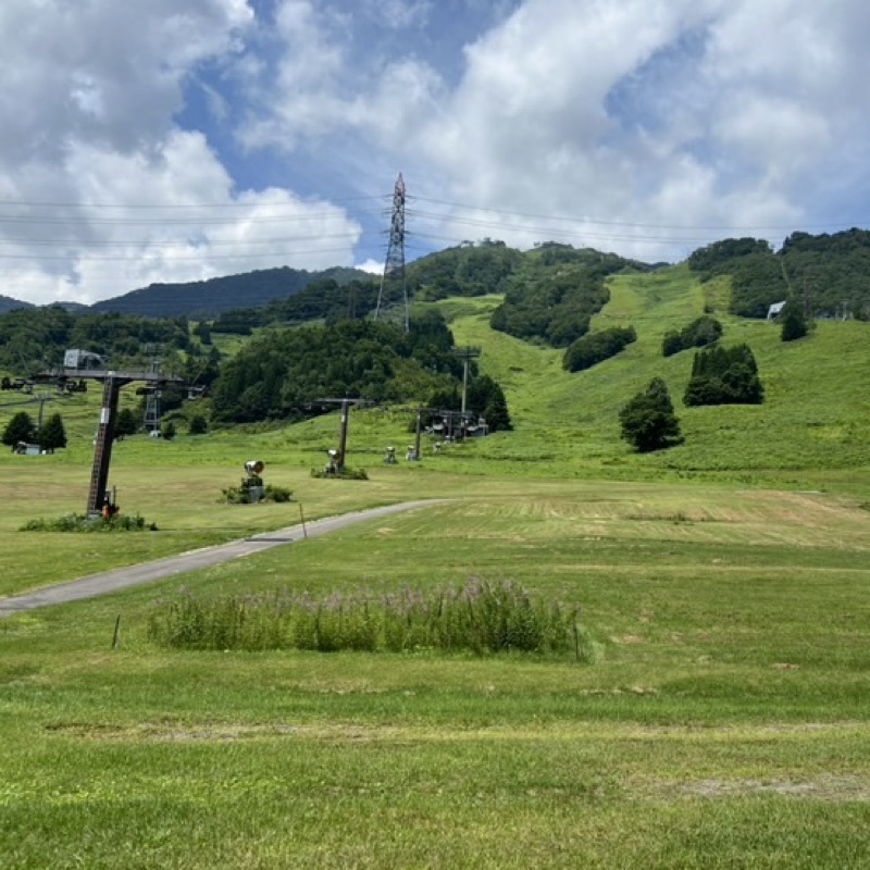 高野稜