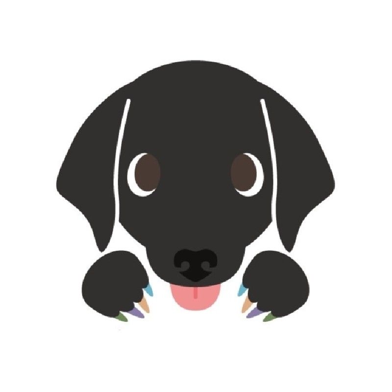 ヴィヴィ