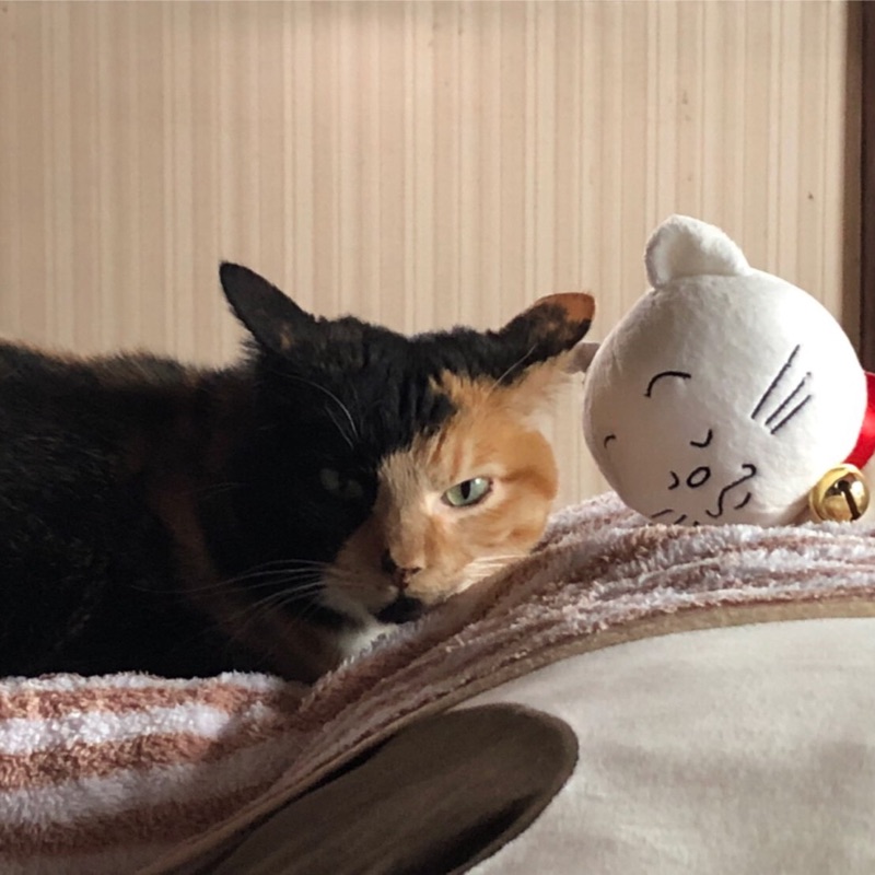 伊藤忍