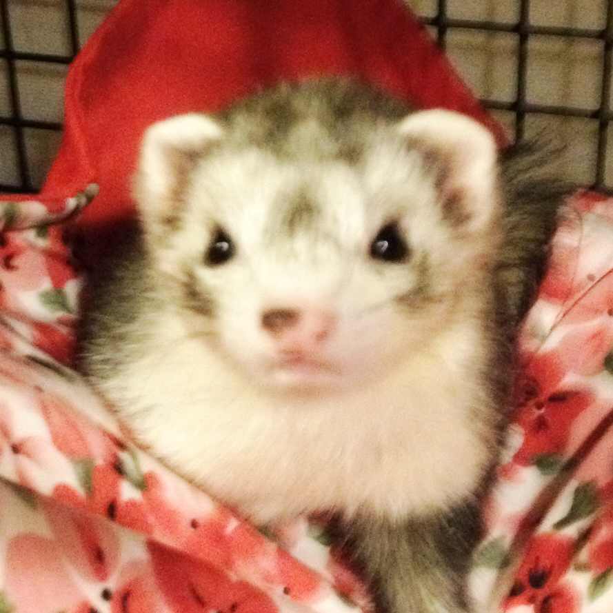 emi