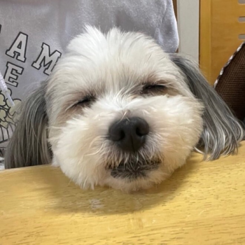 ひろりん