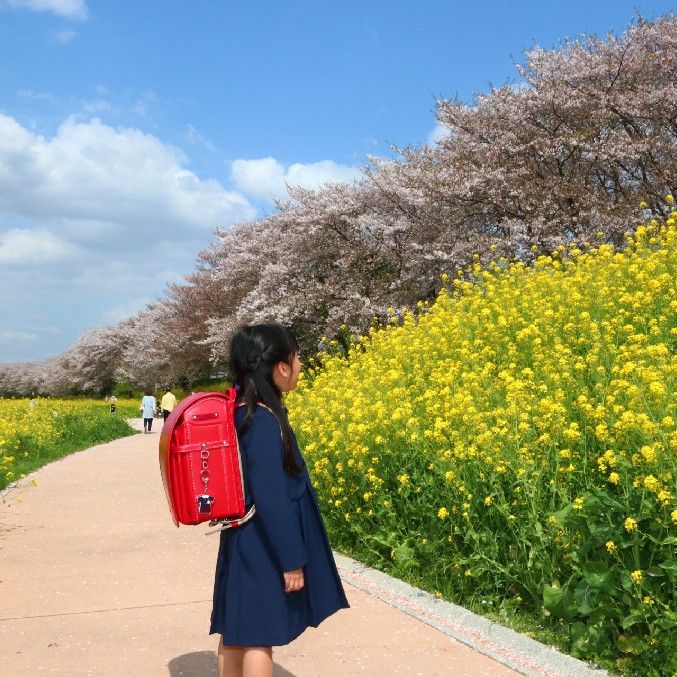 さとう